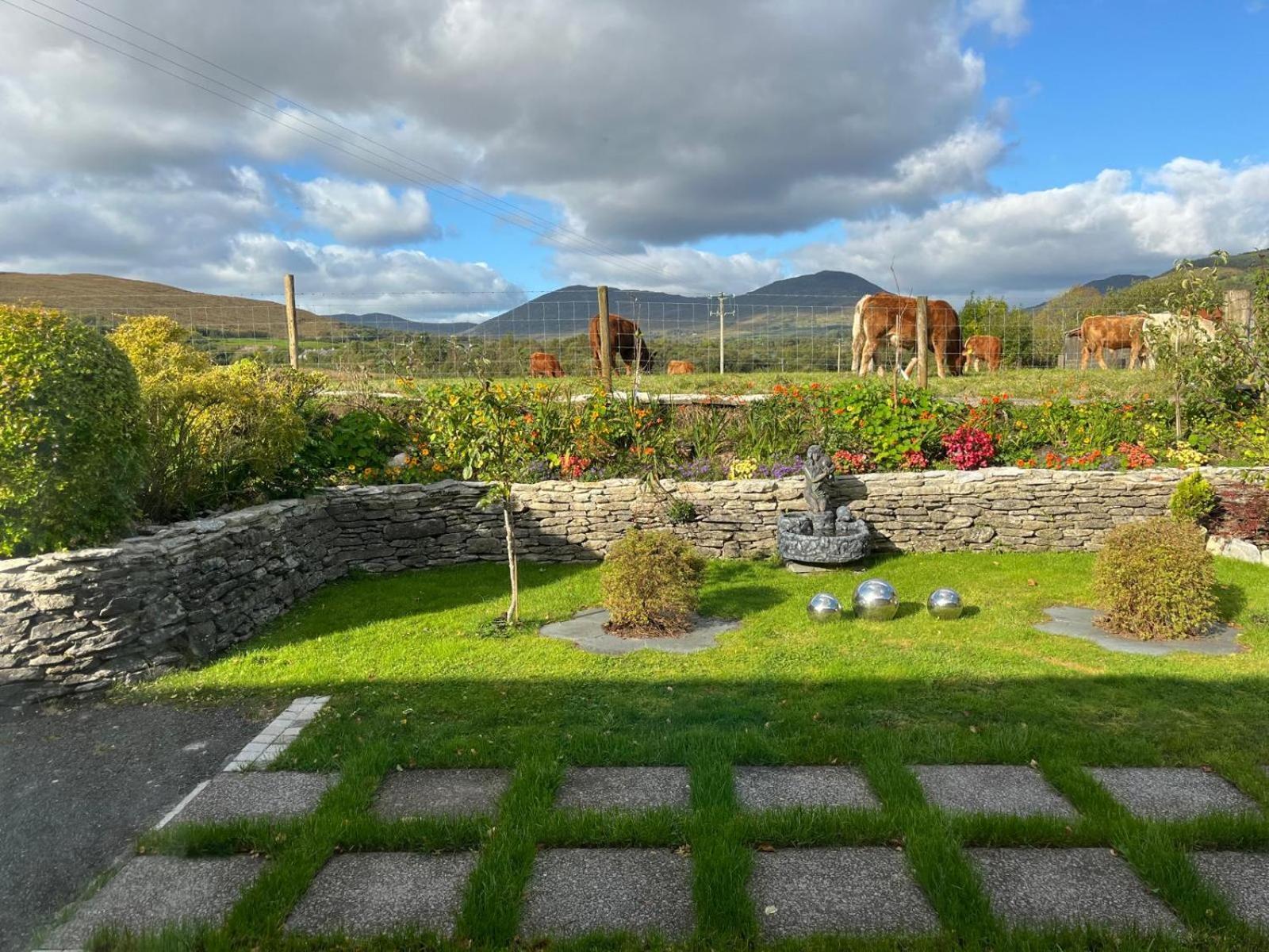 Laburnum B&B Kenmare Bagian luar foto