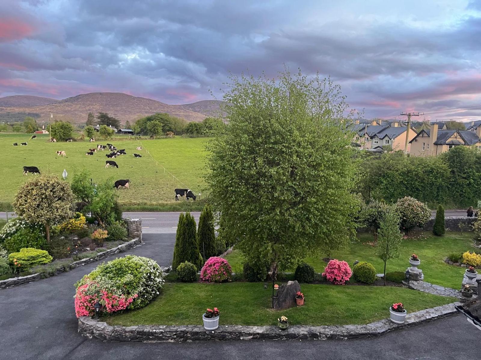 Laburnum B&B Kenmare Bagian luar foto