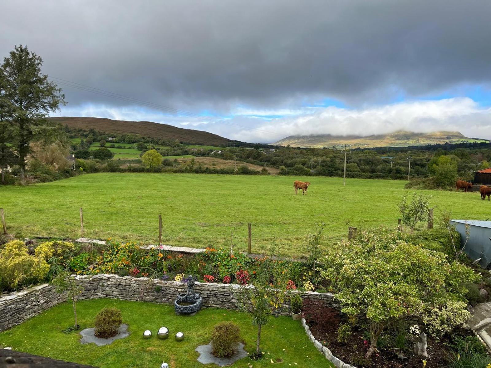 Laburnum B&B Kenmare Bagian luar foto